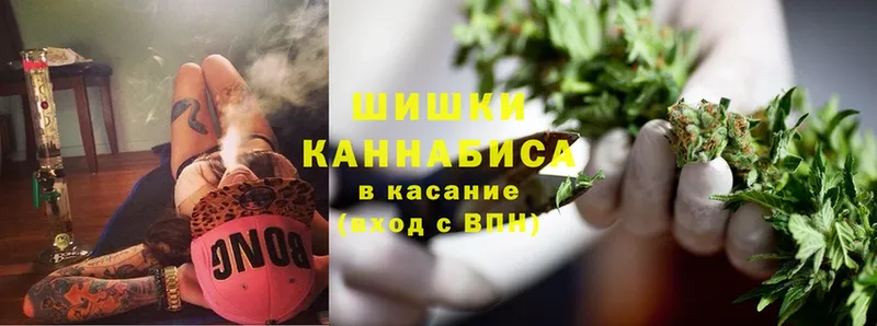 Канабис OG Kush  Заречный 